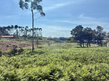 Terreno para Venda em São Felix da Marinha