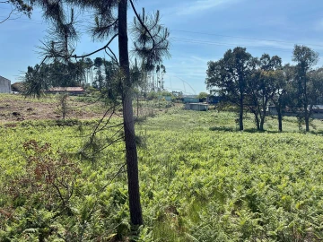 Terreno para Venda em São Felix da Marinha