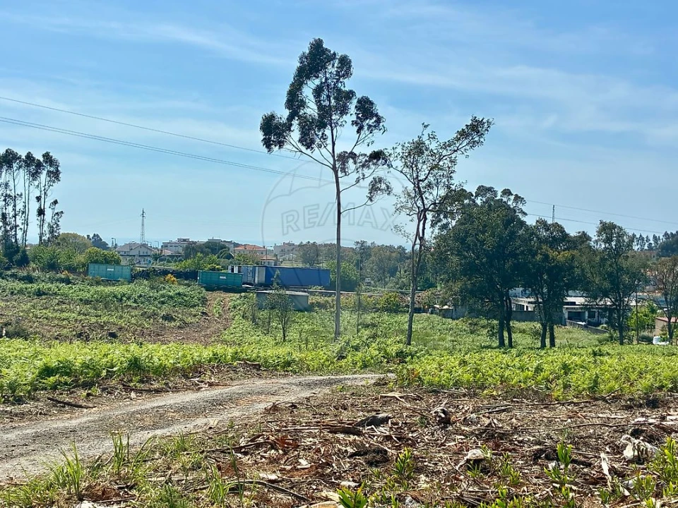 Terreno para Venda em São Felix da Marinha Foto 3