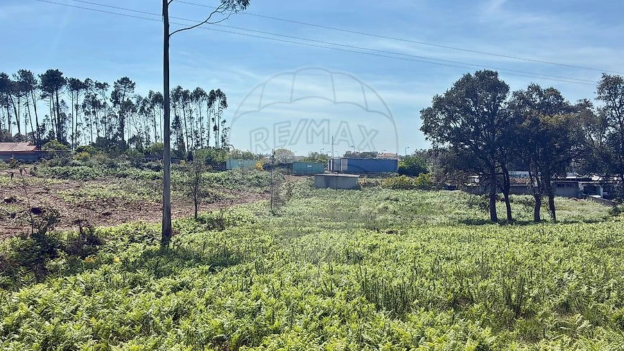 Terreno para Venda em São Felix da Marinha