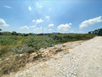 Terreno para Venda em Madalena
