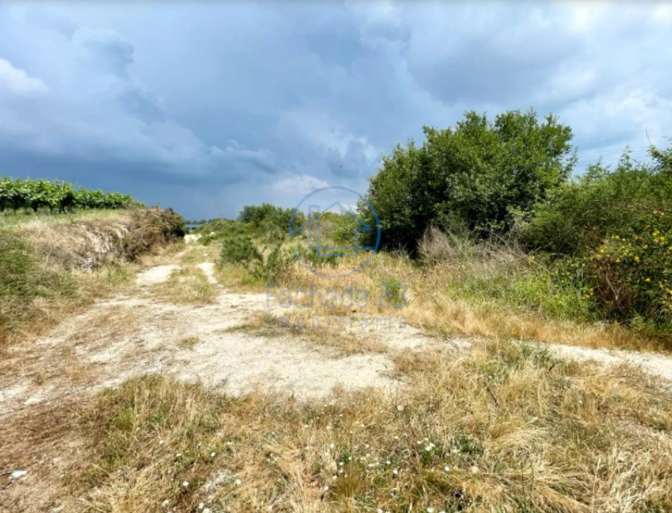 Terreno para Venda em Madalena Foto 4