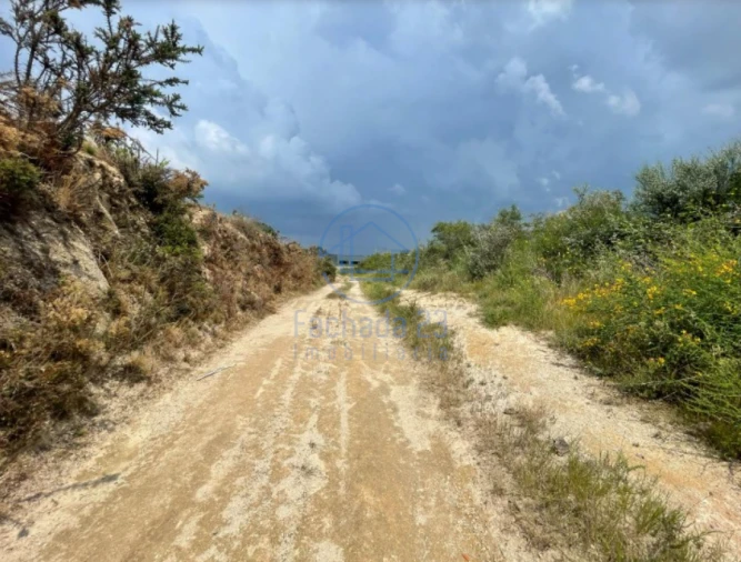 Terreno para Venda em Madalena Foto 5