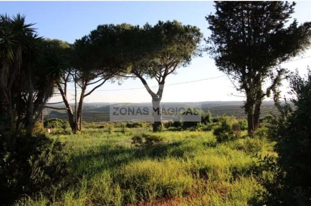 Moradia T4 para Venda em Lagos (São Sebastião e Santa Maria) Foto 17