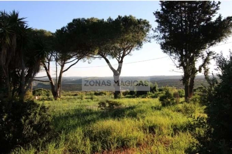 Moradia T4 para Venda em Lagos (São Sebastião e Santa Maria) Foto 17