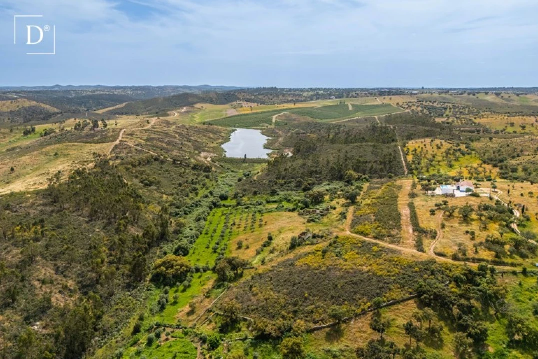 Moradia T3 para Venda em Nossa Senhora da Conceição, São Brás dos Matos, Juromenha Foto 15