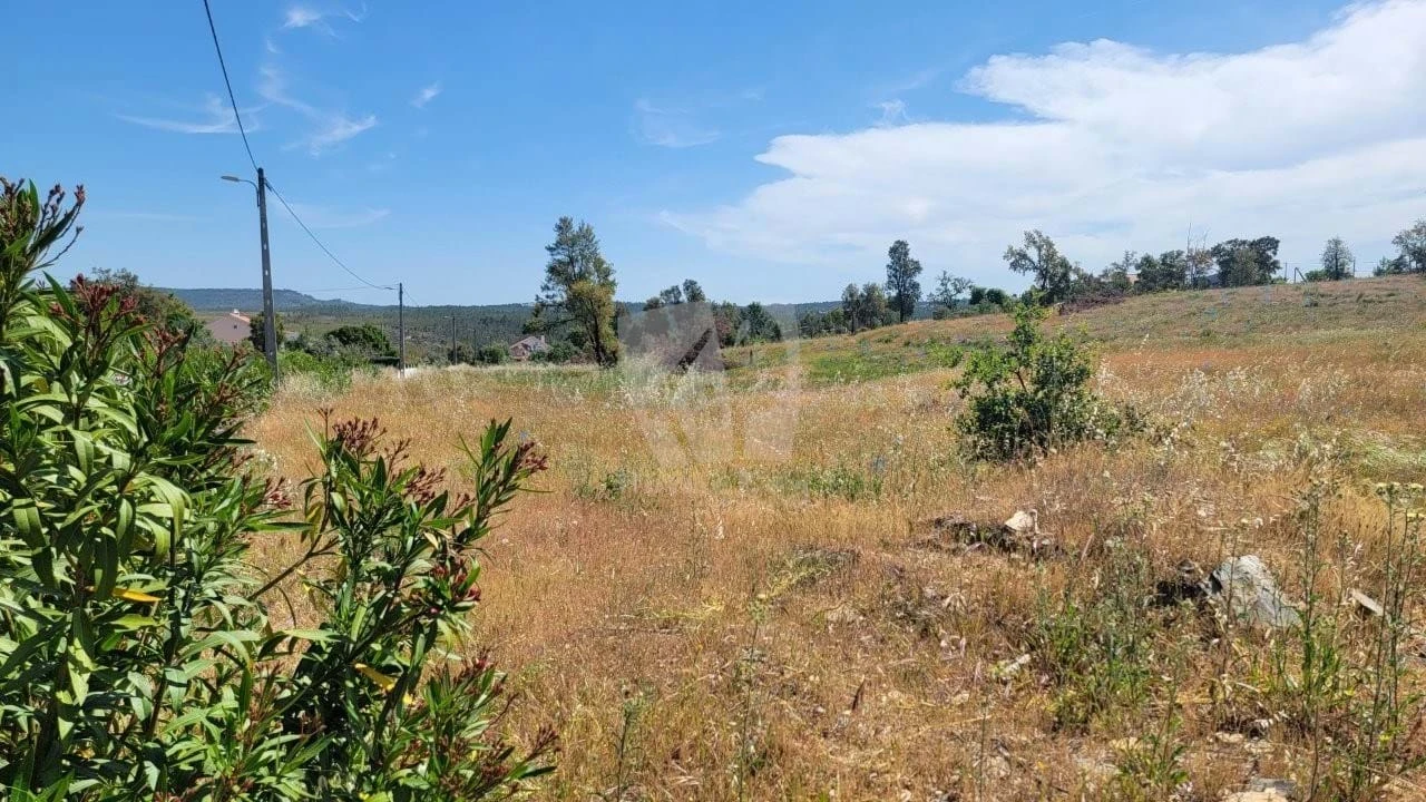 Terreno Agricola ou Rústico para Venda em Santo Andre das Tojeiras Foto 28
