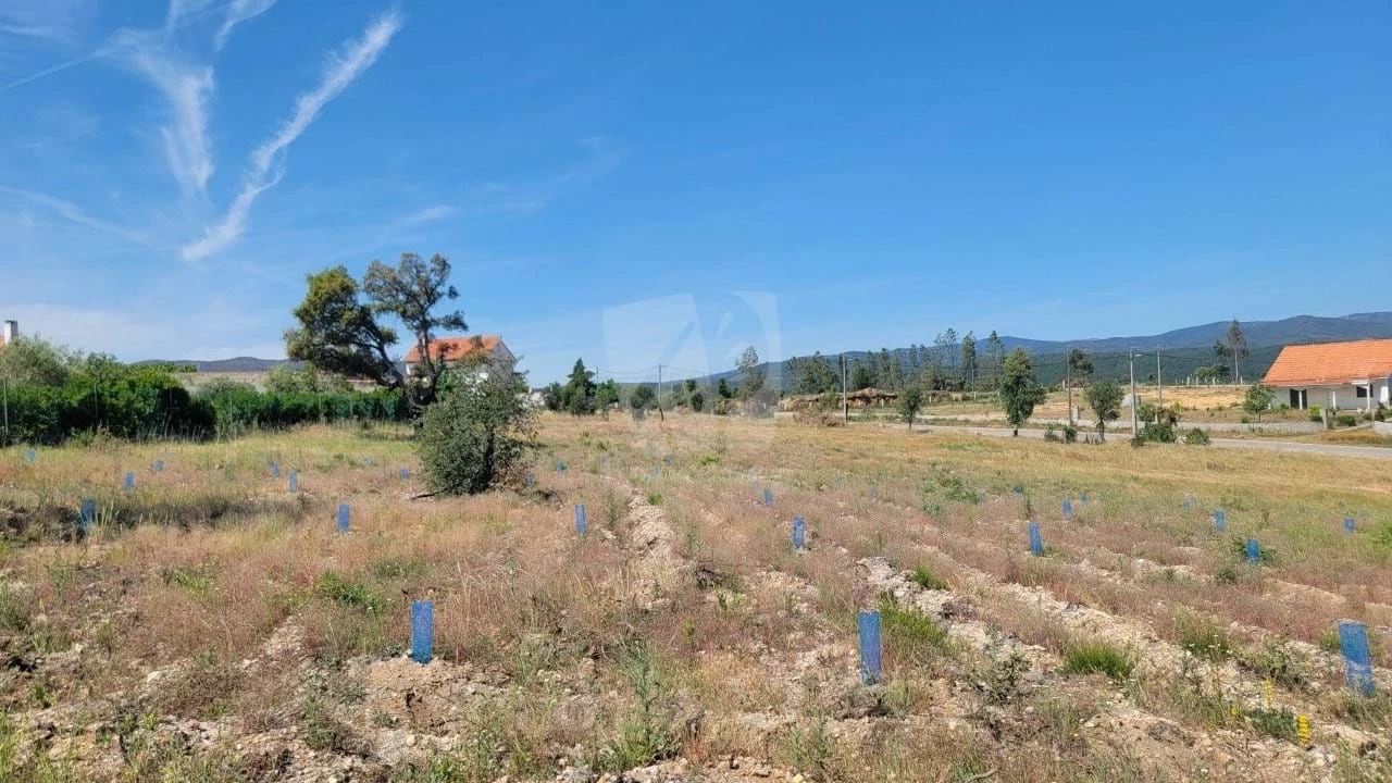 Terreno Agricola ou Rústico para Venda em Santo Andre das Tojeiras Foto 16