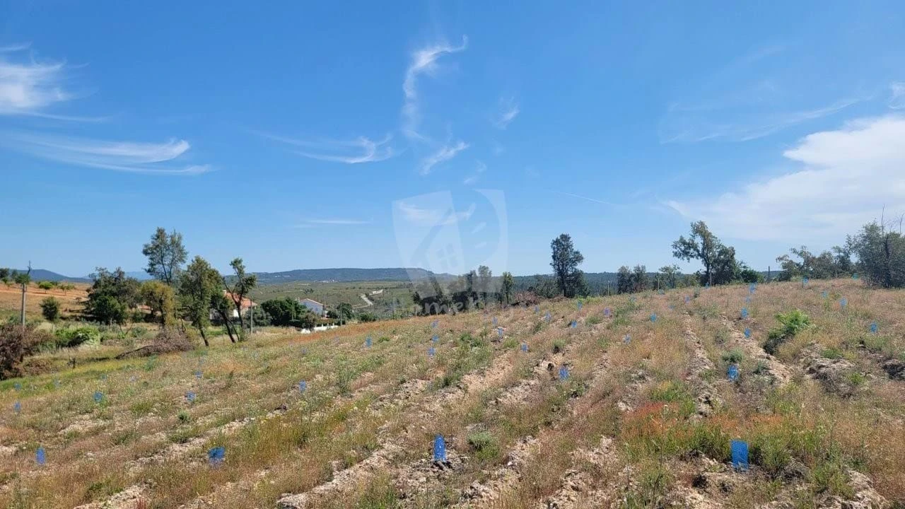Terreno Agricola ou Rústico para Venda em Santo Andre das Tojeiras Foto 12