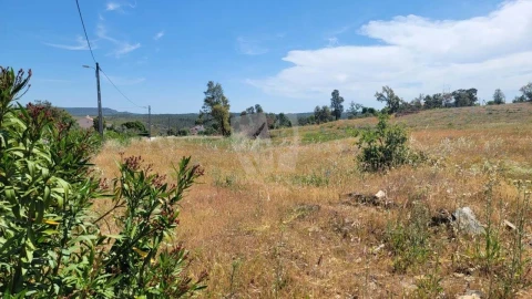 Terreno Agricola ou Rústico para Venda em Santo Andre das Tojeiras