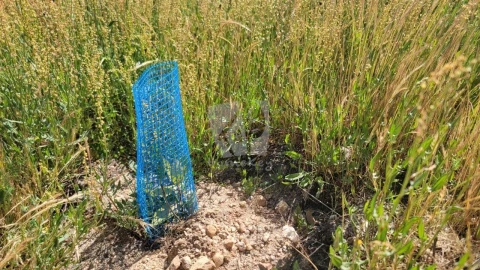 Terreno Agricola ou Rústico para Venda em Santo Andre das Tojeiras