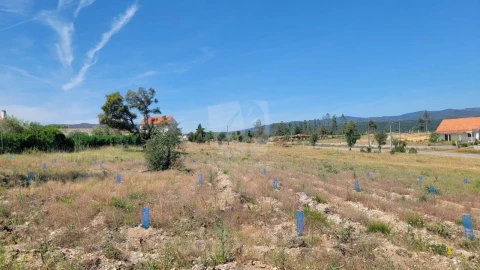 Terreno Agricola ou Rústico para Venda em Santo Andre das Tojeiras