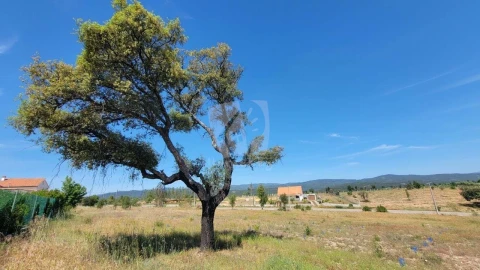Terreno Agricola ou Rústico para Venda em Santo Andre das Tojeiras