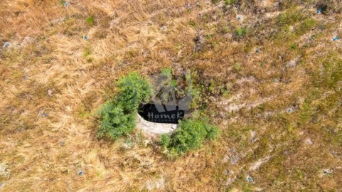 Terreno Agricola ou Rústico para Venda em Santo Andre das Tojeiras