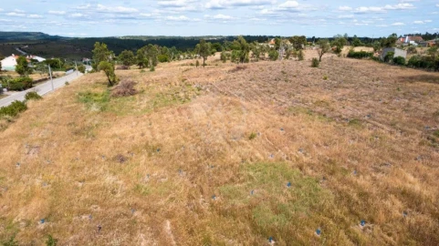 Terreno Agricola ou Rústico para Venda em Santo Andre das Tojeiras