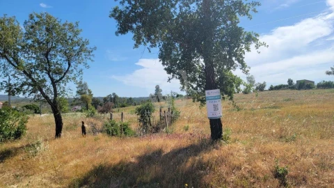 Terreno Agricola ou Rústico para Venda em Santo Andre das Tojeiras