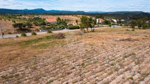 Terreno Agricola ou Rústico para Venda em Santo Andre das Tojeiras