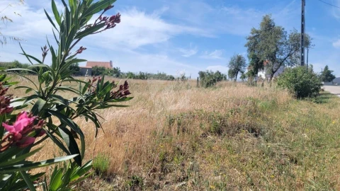 Terreno Agricola ou Rústico para Venda em Santo Andre das Tojeiras