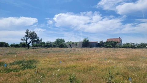 Terreno Agricola ou Rústico para Venda em Santo Andre das Tojeiras