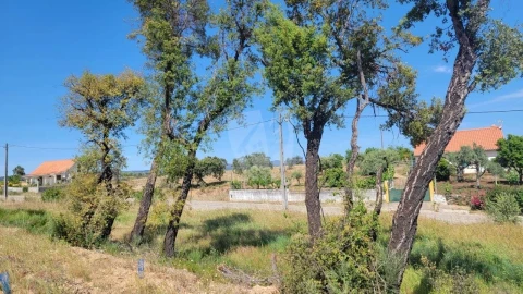 Terreno Agricola ou Rústico para Venda em Santo Andre das Tojeiras