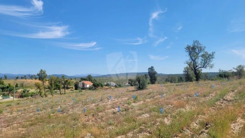 Terreno Agricola ou Rústico para Venda em Santo Andre das Tojeiras