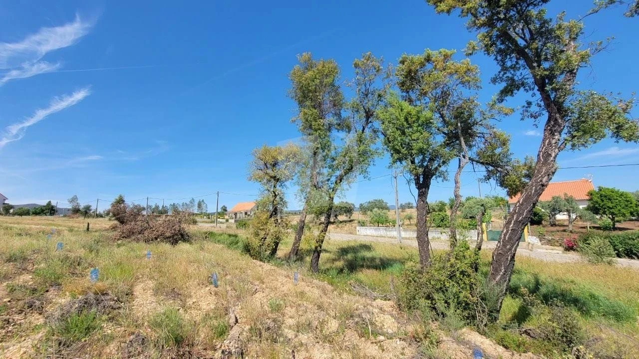 Terreno Agricola ou Rústico para Venda em Santo Andre das Tojeiras Foto 18