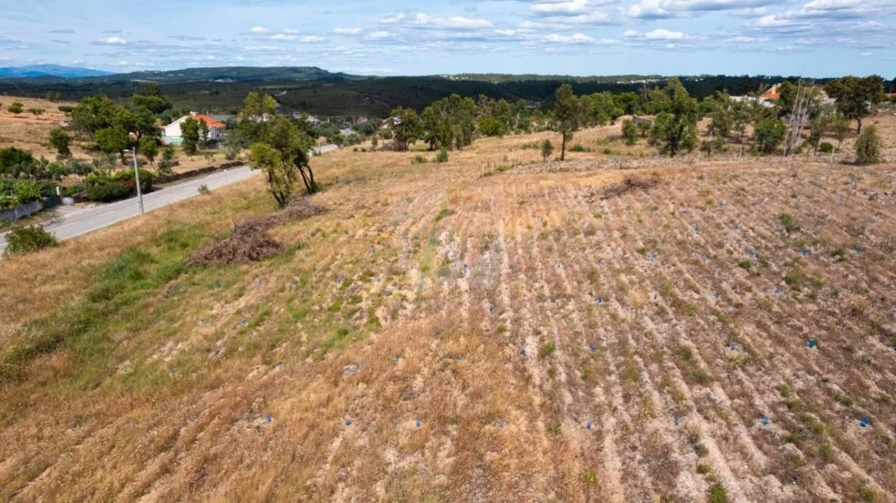 Terreno Agricola ou Rústico para Venda em Santo Andre das Tojeiras Foto 38