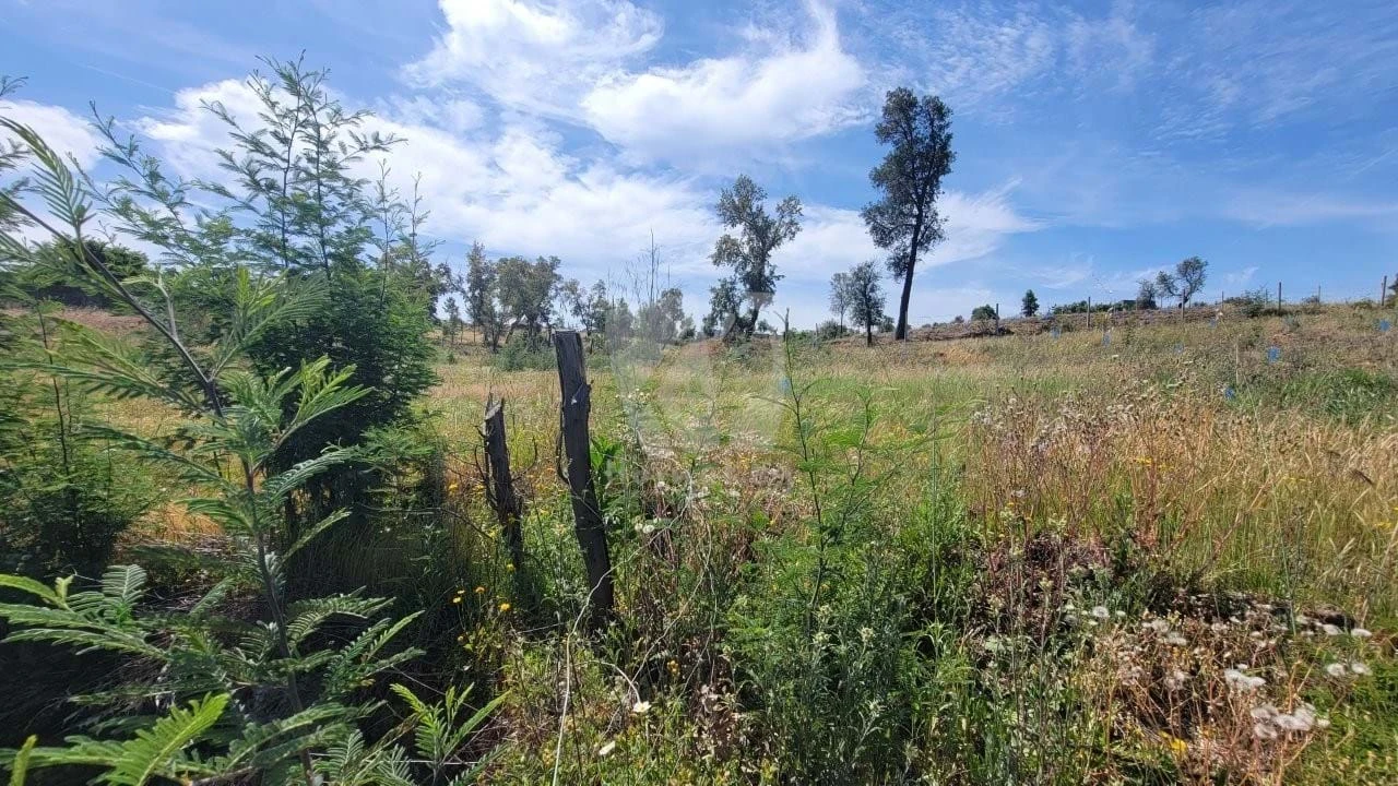 Terreno Agricola ou Rústico para Venda em Santo Andre das Tojeiras Foto 21