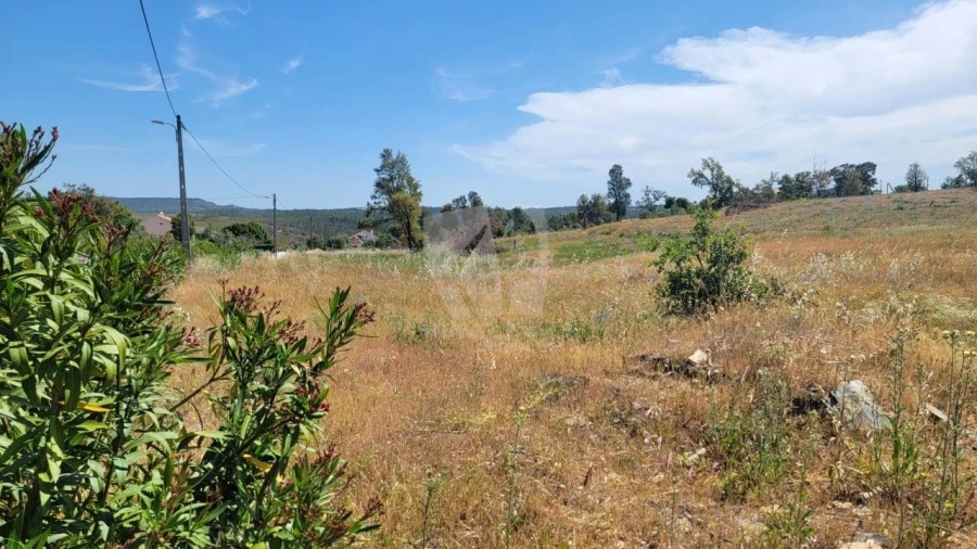Terreno Agricola ou Rústico para Venda em Santo Andre das Tojeiras Foto 28