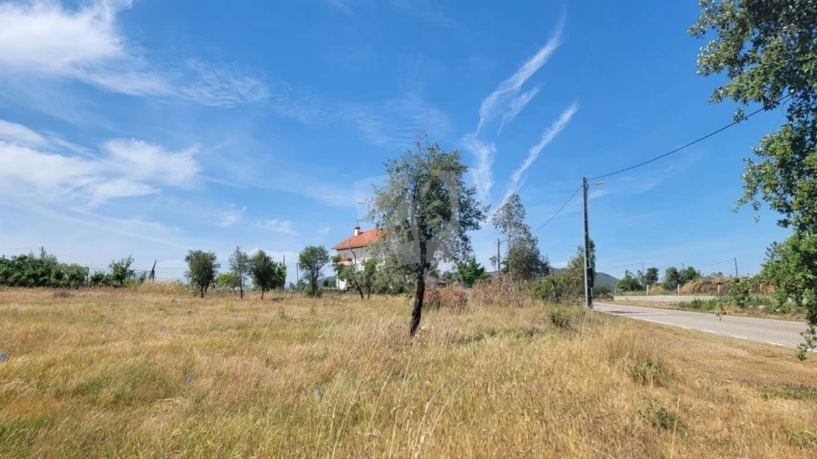 Terreno Agricola ou Rústico para Venda em Santo Andre das Tojeiras Foto 9