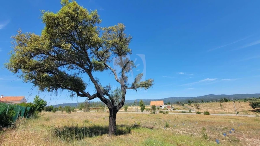 Terreno Agricola ou Rústico para Venda em Santo Andre das Tojeiras Foto 13