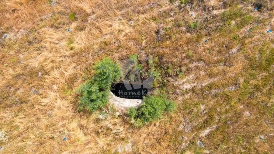 Terreno Agricola ou Rústico para Venda em Santo Andre das Tojeiras Foto 40