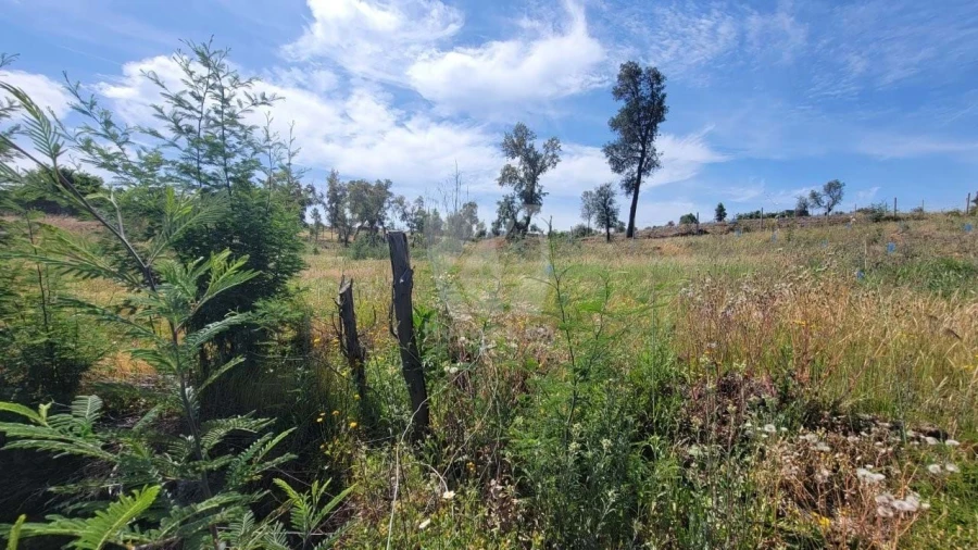 Terreno Agricola ou Rústico para Venda em Santo Andre das Tojeiras Foto 21