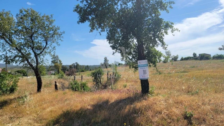 Terreno Agricola ou Rústico para Venda em Santo Andre das Tojeiras Foto 29