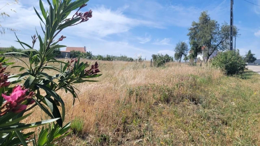 Terreno Agricola ou Rústico para Venda em Santo Andre das Tojeiras Foto 26