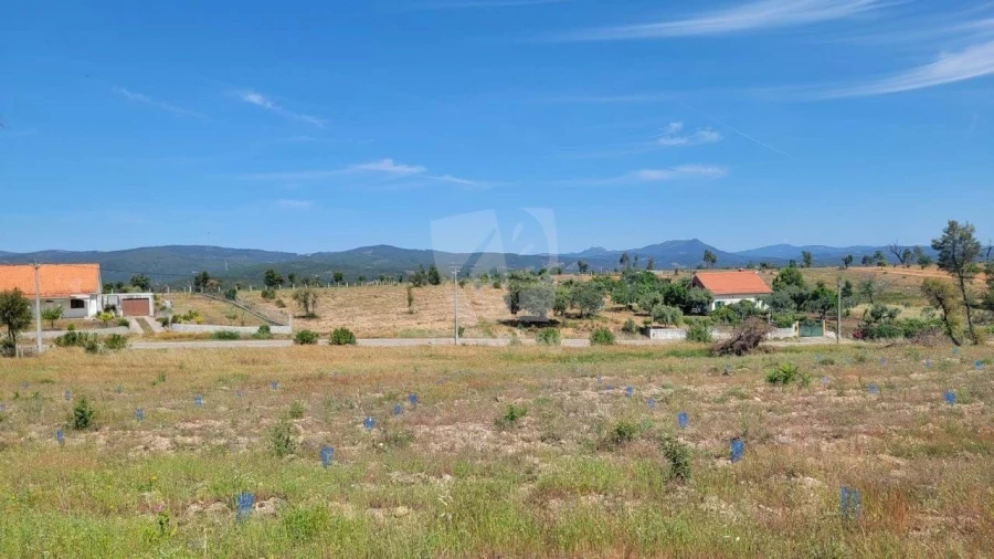 Terreno Agricola ou Rústico para Venda em Santo Andre das Tojeiras Foto 14