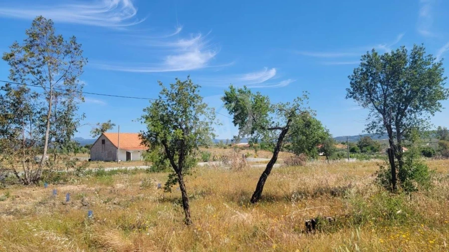 Terreno Agricola ou Rústico para Venda em Santo Andre das Tojeiras Foto 7