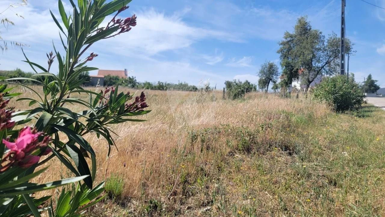 Terreno Agricola ou Rústico para Venda em Santo Andre das Tojeiras Foto 26