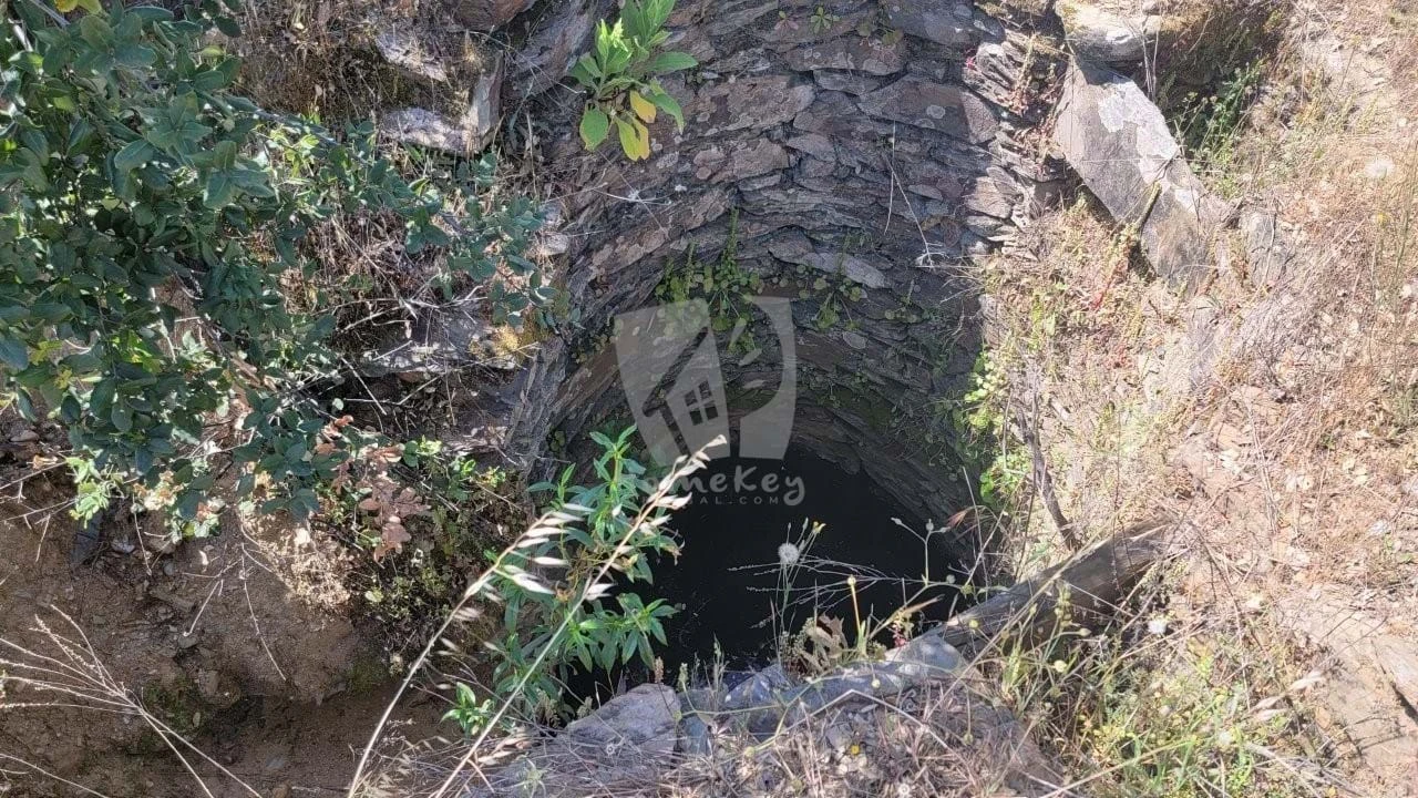 Terreno Agricola ou Rústico para Venda em Santo Andre das Tojeiras Foto 5