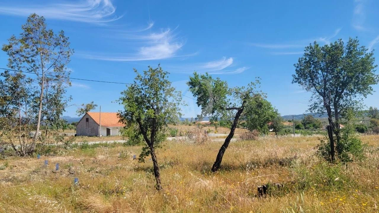 Terreno Agricola ou Rústico para Venda em Santo Andre das Tojeiras Foto 7