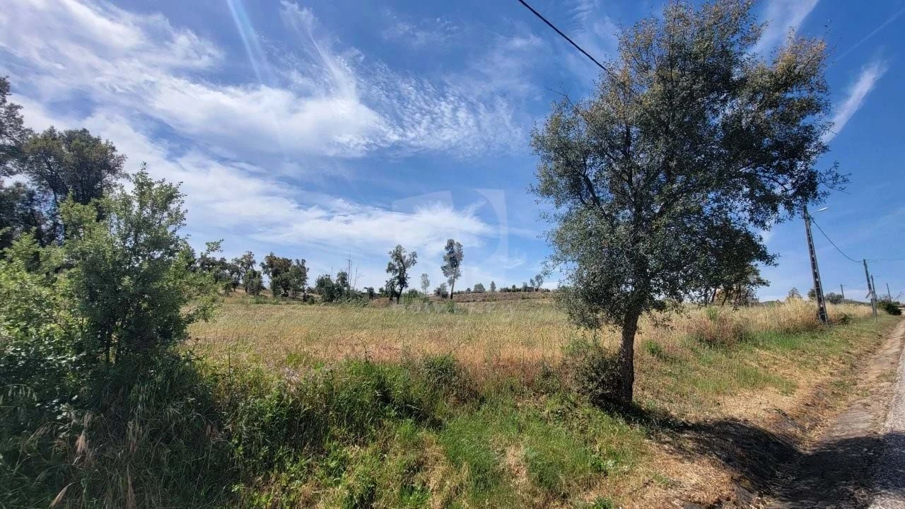 Terreno Agricola ou Rústico para Venda em Santo Andre das Tojeiras Foto 24