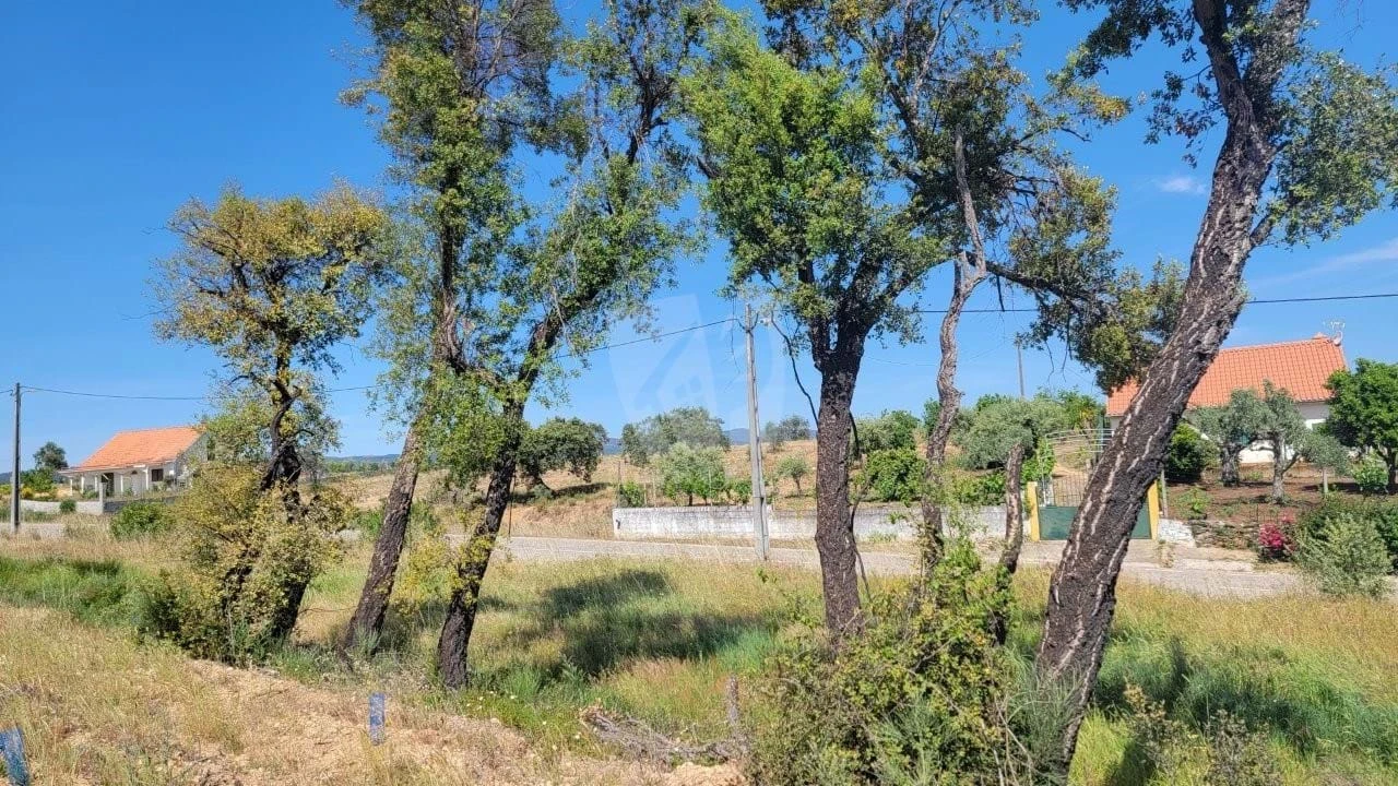 Terreno Agricola ou Rústico para Venda em Santo Andre das Tojeiras Foto 17