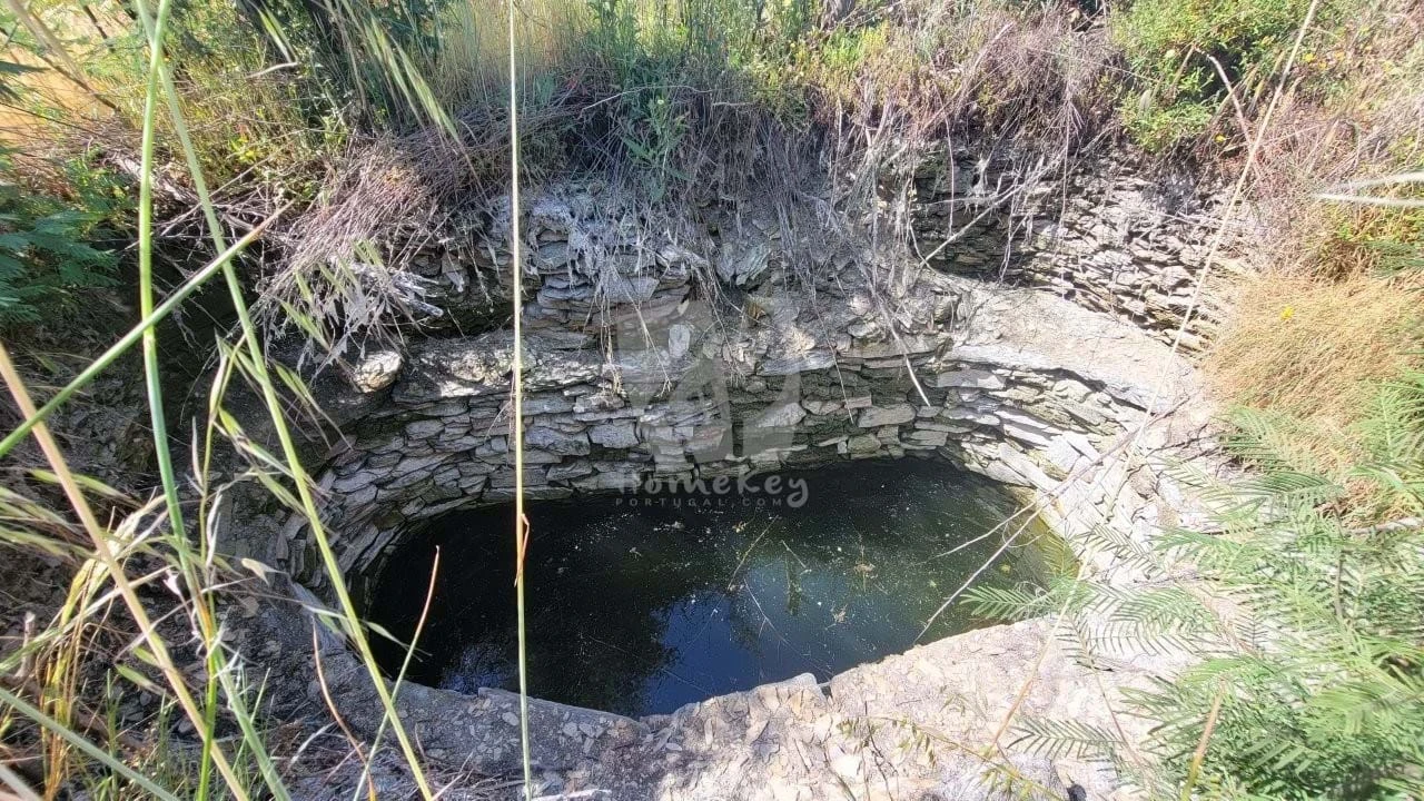 Terreno Agricola ou Rústico para Venda em Santo Andre das Tojeiras Foto 22