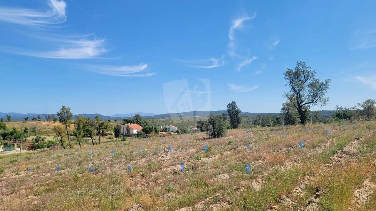 Terreno Agricola ou Rústico para Venda em Santo Andre das Tojeiras Foto 15
