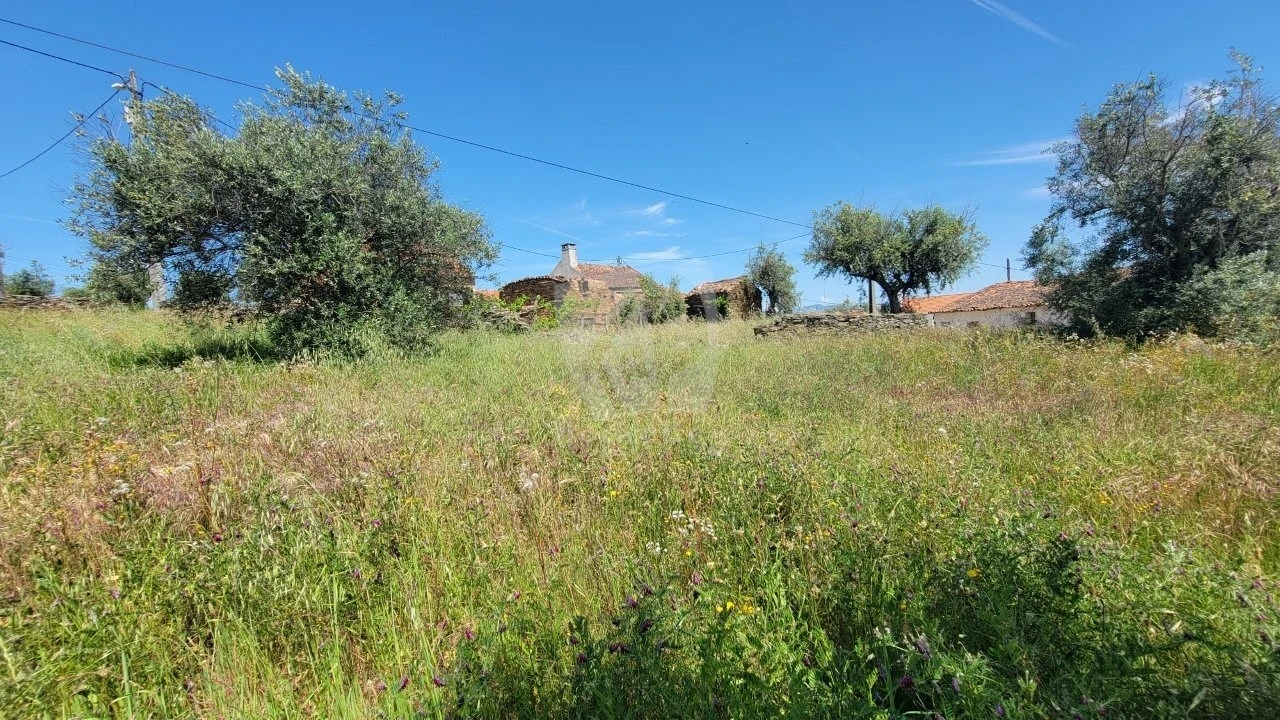 Terreno para Venda em Santo Andre das Tojeiras Foto 13