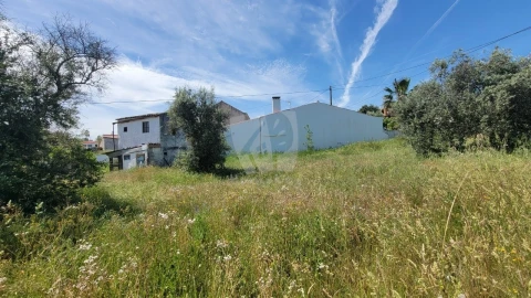 Terreno para Venda em Santo Andre das Tojeiras