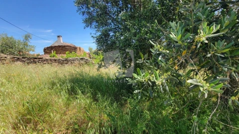 Terreno para Venda em Santo Andre das Tojeiras