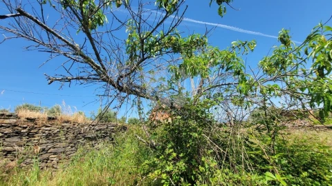 Terreno para Venda em Santo Andre das Tojeiras