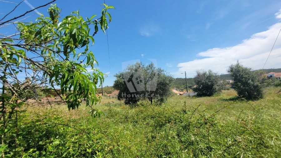Terreno para Venda em Santo Andre das Tojeiras Foto 16