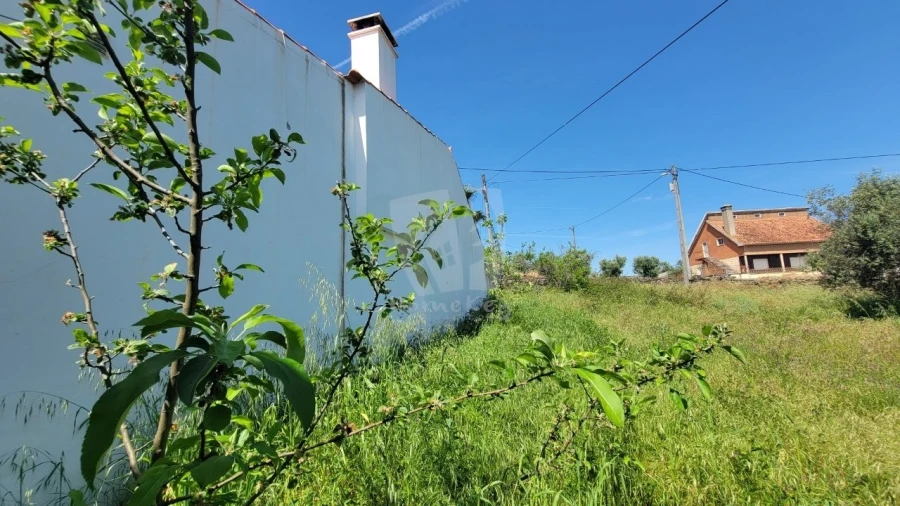 Terreno para Venda em Santo Andre das Tojeiras Foto 14